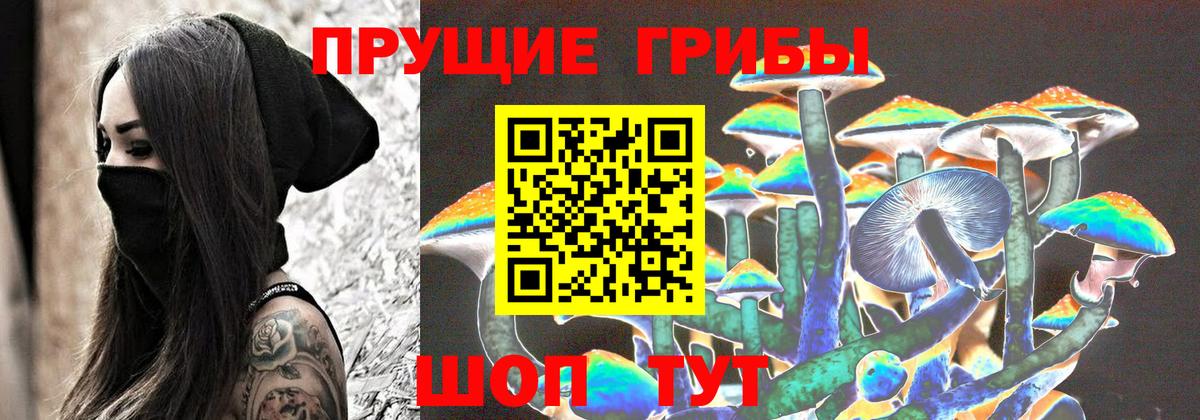 Псилоцибиновые грибы мицелий  Вход с VPN  наркота  Псилоцибиновые грибы Magic Shrooms  Выборг 
